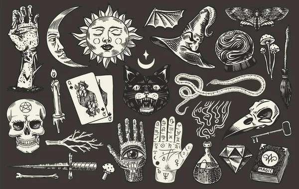 Mystieke magische boho elementen. Hekserij astrologische set. Esoterische alchemie schets voor tatoeage. Getrokken gegraveerde speelkaarten en Zwarte Kat en Palmistry. — Stockvector