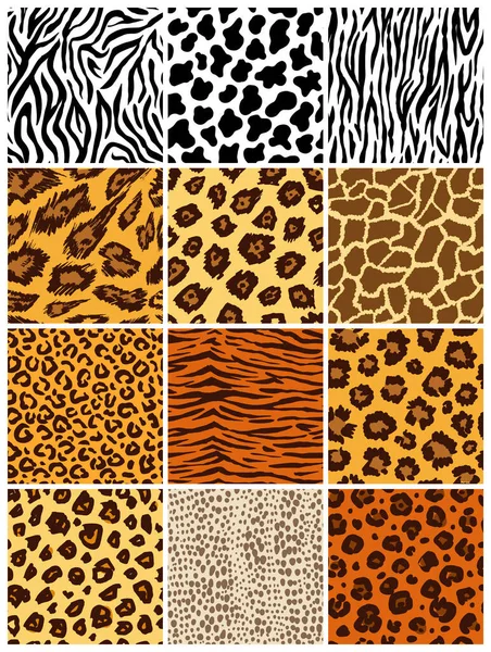 Conjunto de patrón sin costura animal. Piel de mamíferos. Colección de pieles estampadas. Depredadores de camuflaje. Cheetah Giraffe Zebra Leopard Holstein ganado Snake Jaguar. Fondo imprimible. Ilustración vectorial . — Vector de stock