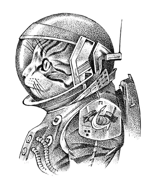 Chat habillé en astronaute. Homme de l'espace ou cosmonaute en combinaison spatiale. Mode Caractère animal. Esquisse spatiale. Anthropomorphisme dessiné à la main. Illustration vectorielle gravée pour étiquette ou logo, T-shirts ou tatouage — Image vectorielle