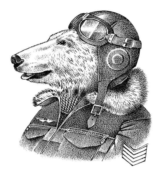 Ours polaire habillé en pilote ou en aviateur. Flyboy ou skyman. Mode Animal personnage croquis. Anthropomorphisme dessiné à la main. Illustration vectorielle gravée pour étiquette, logo et T-shirts ou tatouage . — Image vectorielle