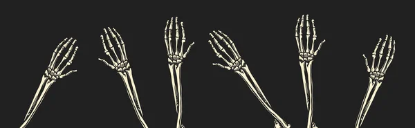 Csontos kezek fekete háttérrel. Emberi karok. A csontvázak felmásznak a sírok koncepciójából. Rajzolt monokróm vintage vázlat. Vektorillusztráció pólóhoz, plakáthoz vagy bannerhez. — Stock Vector