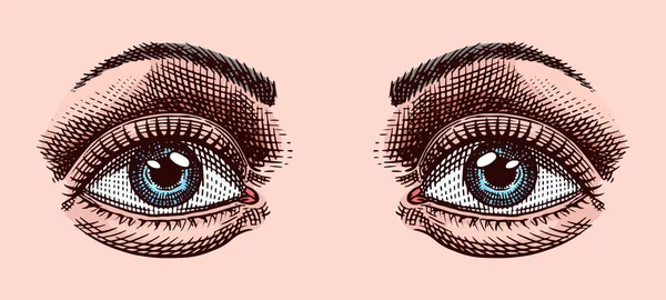 Жіноче око і брови в вінтажному стилі. Людський орган Візуальна система. Ручна гравірована ілюстрація. Ескіз для медичного плаката або банерів — стоковий вектор