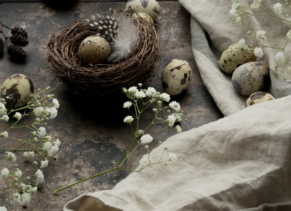 Ninho com ovos e penas cercado por flores brancas em um fundo vintage — Fotografia de Stock