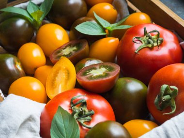 Ahşap tepsi koyu arka plan üzerinde renkli domates