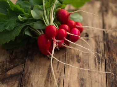 Bir tabloda, seçici odak Bahçe turp