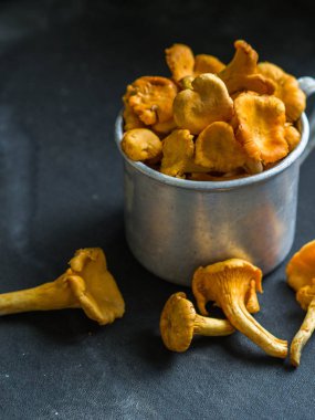 taze chanterelles karanlık bir arka plan üzerinde metal bir kupa. Yabani mantar ile kompozisyon. kopya alanı