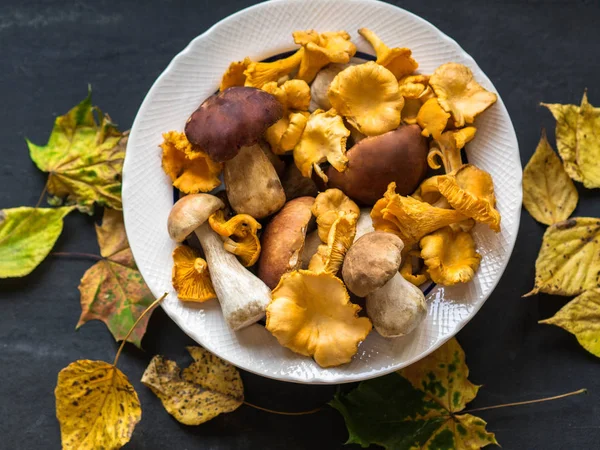 Ham vahşi Cantharellus cibarius mantar ve ham porcini mantar beyaz seramik kase. Üstten Görünüm