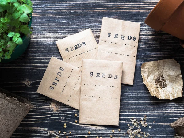 Seeds in paper bags. Planting of spring herbs in pots. Garden concept