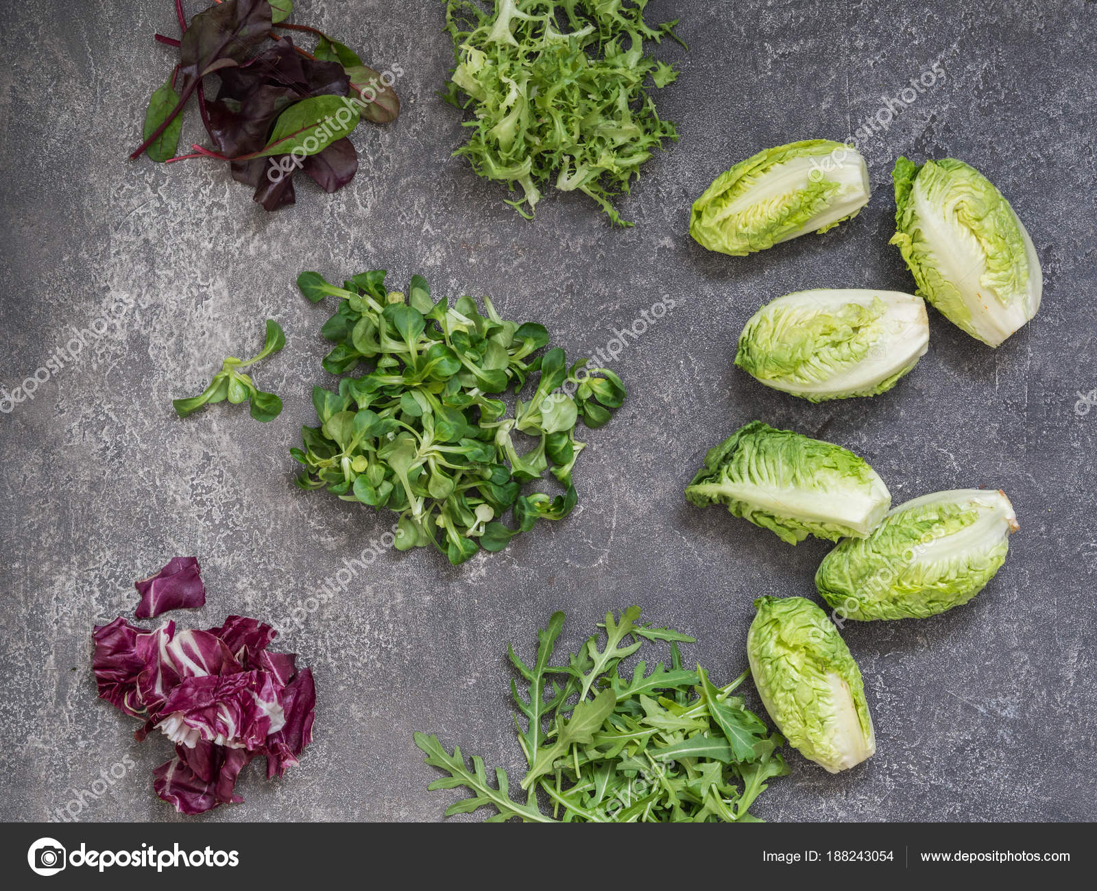 Lechuga tipos de hojas