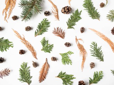 Kışın kuru bitkilerin yaratıcı doğal arka planı beyaz arka planda yatıyordu. en üstteki görünüm