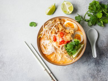 Malezya eriştesi laksa çorbası tavuk, karides ve tofu ile gri arka planda bir kasede