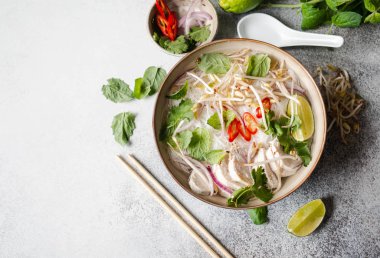 Geleneksel Vietnam çorbası tavuklu ve pilav erişteli fo ga, nane ve kişniş, kırmızı soğan, kırmızı biber, fasulye filizi ve gri arka planda limon. Asya yemekleri. Uzayı kopyala Üst görünüm