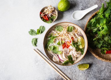 Geleneksel Vietnam çorbası tavuklu ve pilav erişteli fo ga, nane ve kişniş, kırmızı soğan, kırmızı biber, fasulye filizi ve gri arka planda limon. Asya yemekleri. Uzayı kopyala Üst görünüm