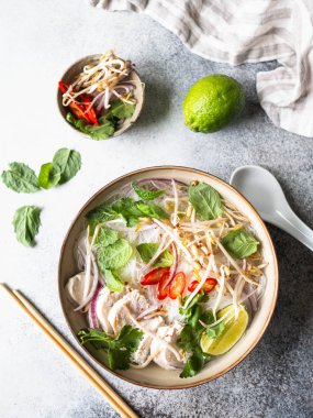 Geleneksel Vietnam çorbası tavuklu ve pilav erişteli fo ga, nane ve kişniş, kırmızı soğan, kırmızı biber, fasulye filizi ve gri arka planda limon. Asya yemekleri. Uzayı kopyala Üst görünüm
