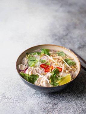 Geleneksel Vietnam çorbası tavuklu ve pilav erişteli fo ga, nane ve kişniş, kırmızı soğan, kırmızı biber, fasulye filizi ve gri arka planda limon. Asya yemekleri. Boşluğu kopyala.