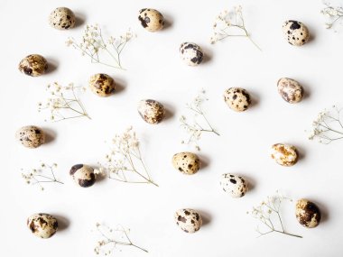 Beyaz arka planda bıldırcın yumurtası ve çiçeklerden oluşan yaratıcı Paskalya kompozisyonu. Üst görünüm