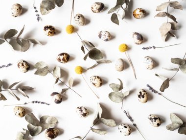 Beyaz arka planda bıldırcın yumurtalarından, kuru çiçeklerden ve okaliptüsten paskalya için yaratıcı kompozisyon. Üst görünüm