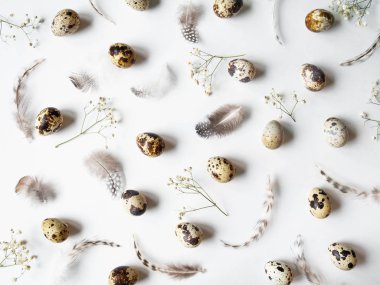 Bıldırcın yumurtalarından, beyaz çiçeklerden ve beyaz arka planda çeşitli tüylerden paskalya için yaratıcı bir kompozisyon. Üst görünüm