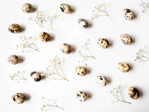 Composition créative de Pâques à partir d'œufs de caille et de fleurs sur fond blanc. Vue du dessus — Photo