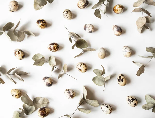 Composición creativa de Pascua a partir de huevos de codorniz y eucalipto sobre un fondo blanco . —  Fotos de Stock