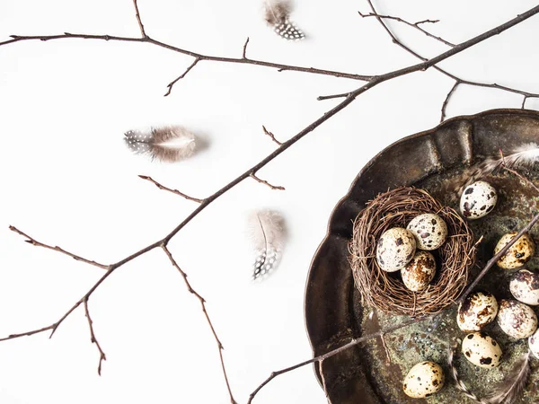 Composición creativa de Pascua de Nido, huevos de codorniz, plumas, flores en bandeja vintage y rama de árbol sobre fondo blanco. Vista superior — Foto de Stock