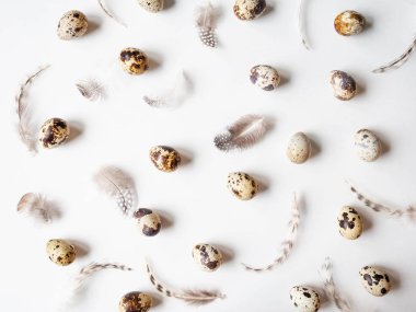 Beyaz arka planda bıldırcın yumurtalarından ve çeşitli tüylerden paskalya için yaratıcı bir kompozisyon. Üst görünüm