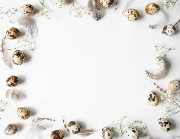 Marco creativo de Pascua de huevos de codorniz, flores blancas y varias plumas sobre un fondo blanco. Vista superior — Foto de Stock