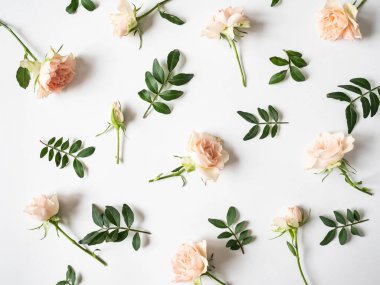 Beyaz arka planda yeşil yapraklar ve güllerin doğal yaratıcı bileşimi. Üst görünüm