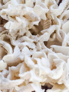 Beyaz ölü doğal mercanların soyut deseni