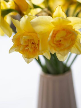 Masadaki vazoda bir buket bahar çiçeği. Vazo yaşam tarzında nergis narsisi.