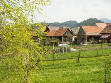 Avusturya 'da dağ manzaralı küçük bir turist olmayan köy. Arka bahçe, Ogoro ve sera manzarası