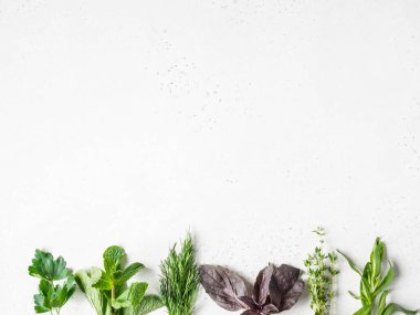 Nane, kekik, dereotu, maydanoz, fesleğen ve tarhun otları. Üst Manzara. Boşluğu kopyala