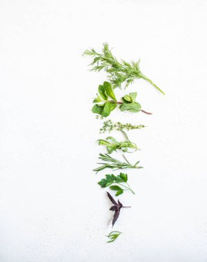 Nane, biberiye, kekik, dereotu, maydanoz, mor fesleğen ve tarhun. Üst Manzara. Boşluğu kopyala