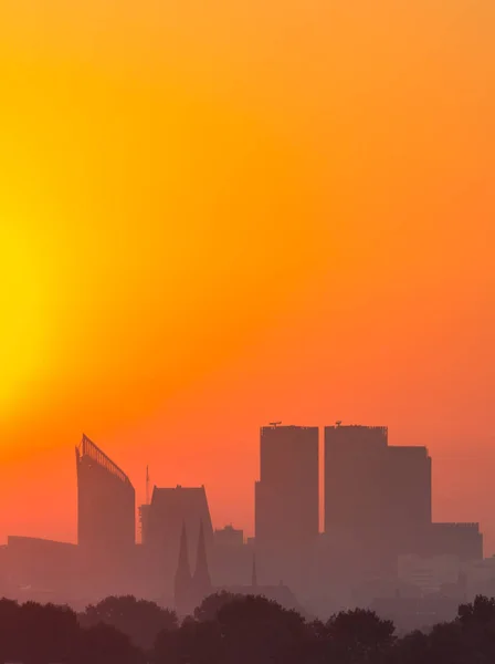 La Haye au lever du soleil doré — Photo
