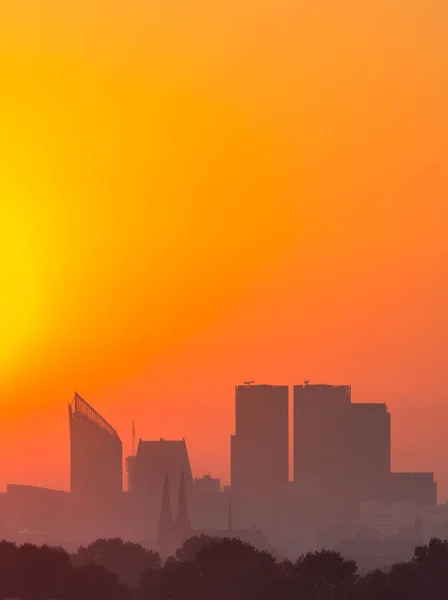 The Hague during a golden sunrise — Stock Photo, Image