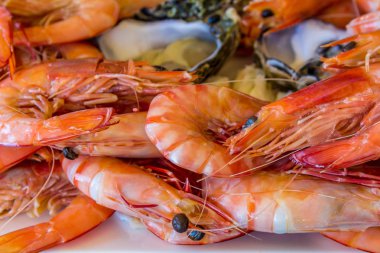 kaplan karides kabuğu'nda görev yaptı.