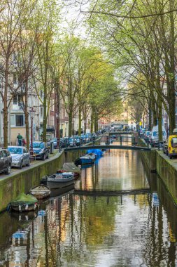 Amsterdam kanal ağaçlar ve tekneler ile kaplı
