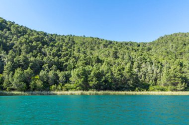 Krka Nehri ve Ormanı