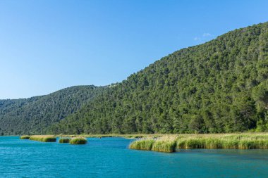 Krka rivr ve forestd hills Hırvatistan