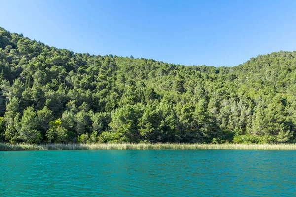 Krka river and forest — Stock Photo, Image