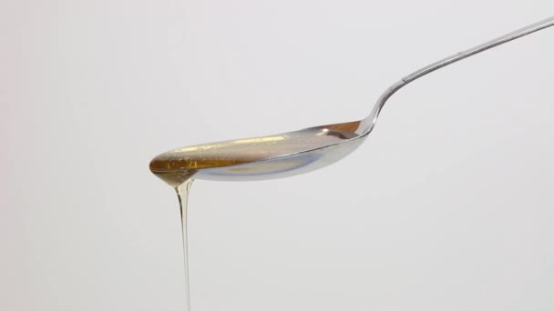 Golden Honey Pouring Spoon White Isolated Background — Stockvideo