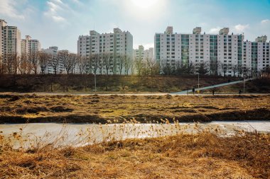 Nehrin yanında daireler