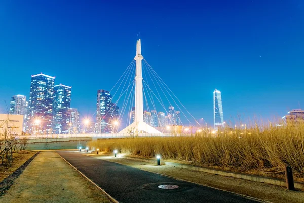 Songdo Central Park at night time Royalty Free Stock Images
