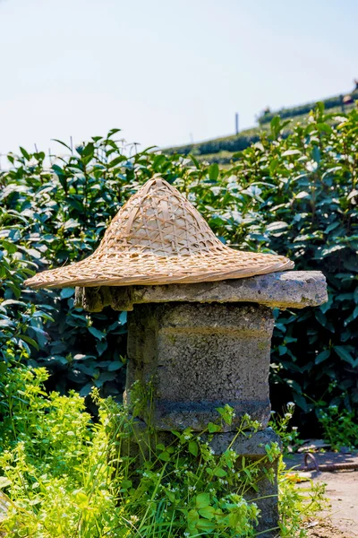 Tea farmers hat