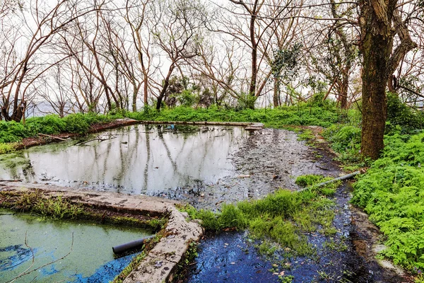 Sombere moeras landschap — Stockfoto