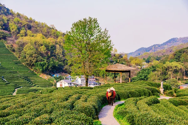 Path with farmers — Stock Photo, Image