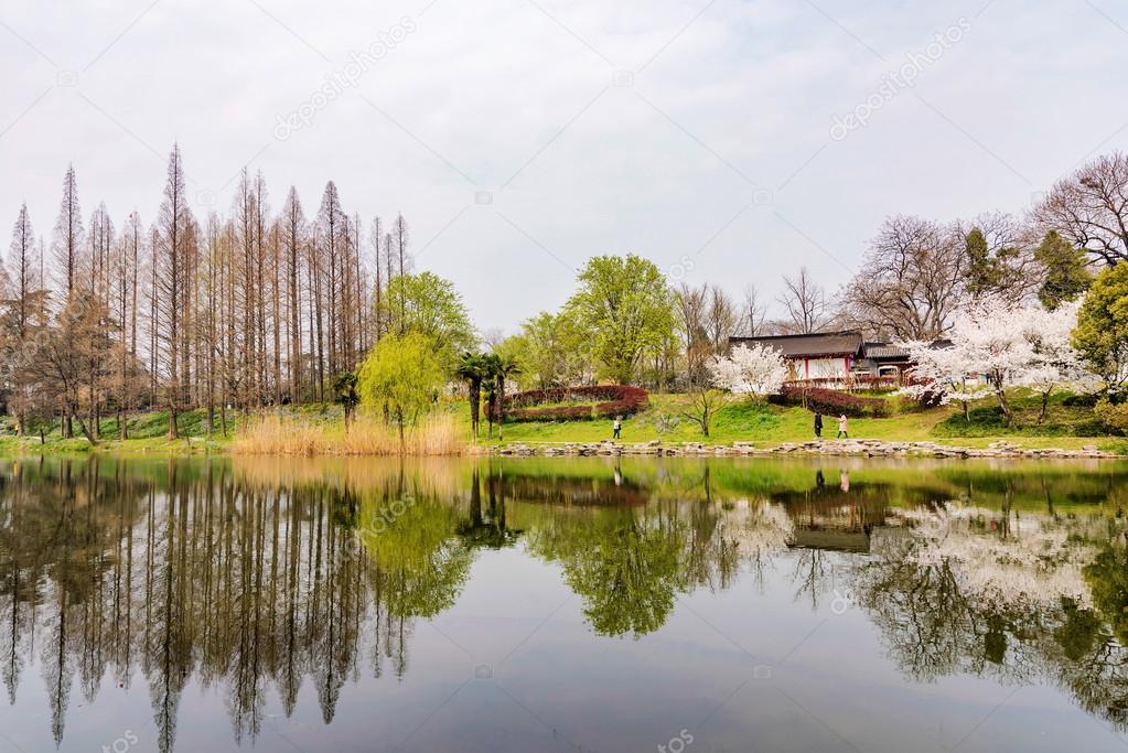 landscape of Xuanwu Lake