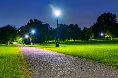 Gece vakti primrose Hill Parkı