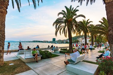 Split sahil mesire