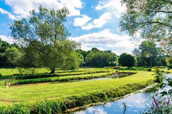 Natuur met stroom — Stockfoto